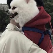 娜娜烂蛇头