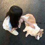 不困噜