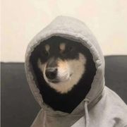劝你善良~