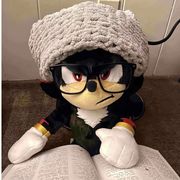 赵天一云