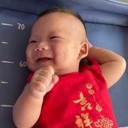 八哥亚入