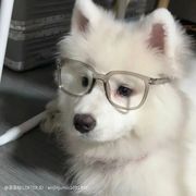 时光停留