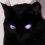 黑