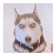 Wtwob