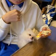 独一无二的休闲玩家