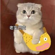 璐