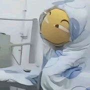 飞天大肥鸡