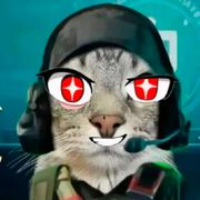User595241561