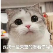 食橘觅柚
