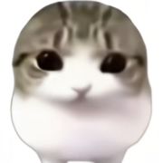 溯锋zZ