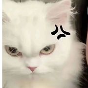 手机用户61395824