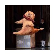 热心市民龙某人