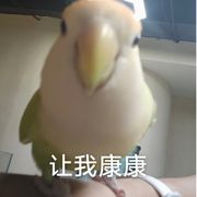 `sky