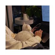 七_又菜又爱玩