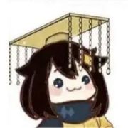 七彩皮皮猪