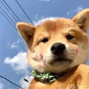 亦难