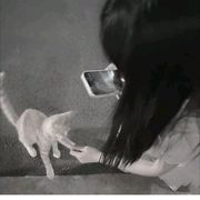 病娇兔纸