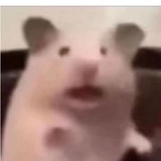 慷慨的落叶