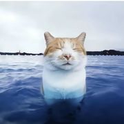 。