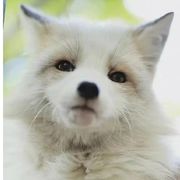 放假的学生