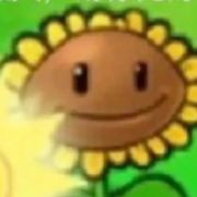 向日葵