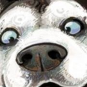 啧啧
