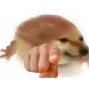 东明夕