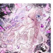 芒果