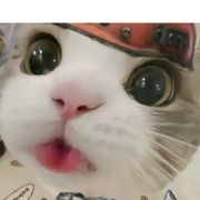 世界管理者