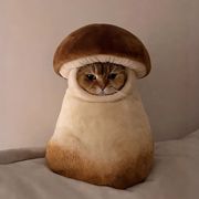 壹豆