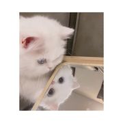 心野稳情场