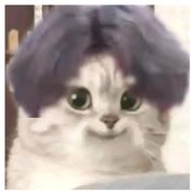 鸡你太美小黑子