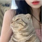 纯醉