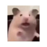 无终