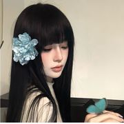 不解蜉蝣梦.