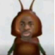 。。。