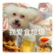 十费下狗惊艳队友