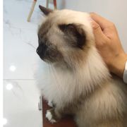 小心眼的占有欲