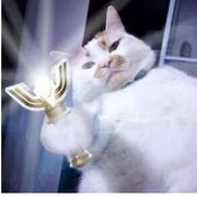 路过的热心市民