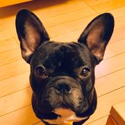 没有昵称怎么混江湖