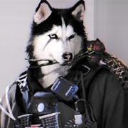 昵称正加载中⋯