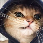 就像那天一样