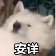 ℡懵新👀