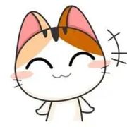 哦