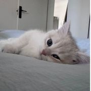 ㅤ