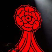 sᴇᴄᴏɴᴅʜᴀɴᴅʀᴏsᴇ