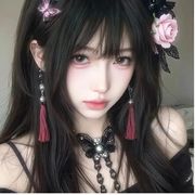 坏臣子