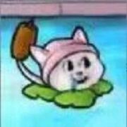 韩憨哥