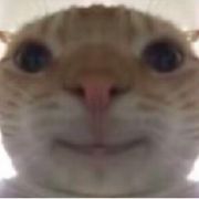 611b