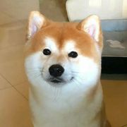手动上调蕾姆股